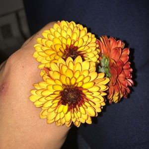 Meet your Posher, Azucena